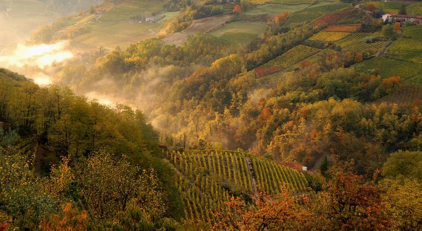 Cascina Arcangelo Raffaele Verduno Dış mekan fotoğraf